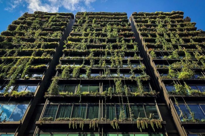 FÉNYKÉP: A „ONE CENTRAL PARK” Sydney-ben - körülbelül 35.000 növény borítja