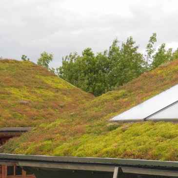 Benefits of green roofs