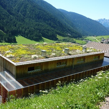 Green roof systems